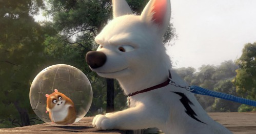 Bolt the superdog and his pal Rhino in a scene from the Oscar-nominated, animated film "Bolt." 