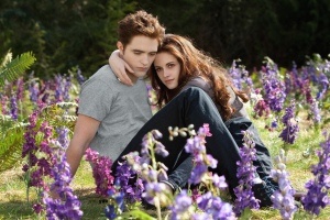 Robert Pattinson and Kristen Stewart star in “The Twilight Saga: Breaking Dawn Part 2.” 
